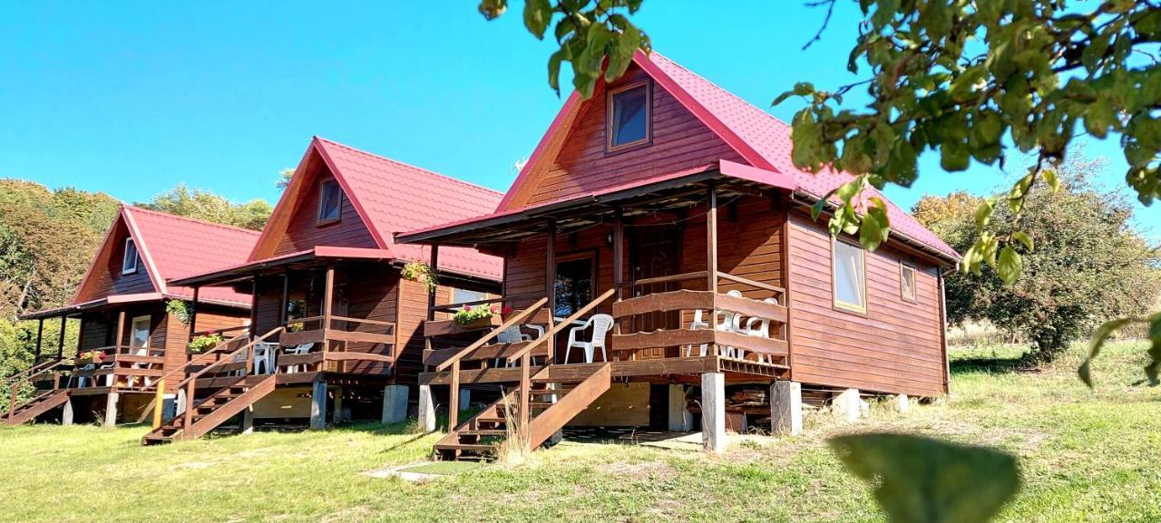 Pod Kasztanem Apartamento Lubin  Exterior foto
