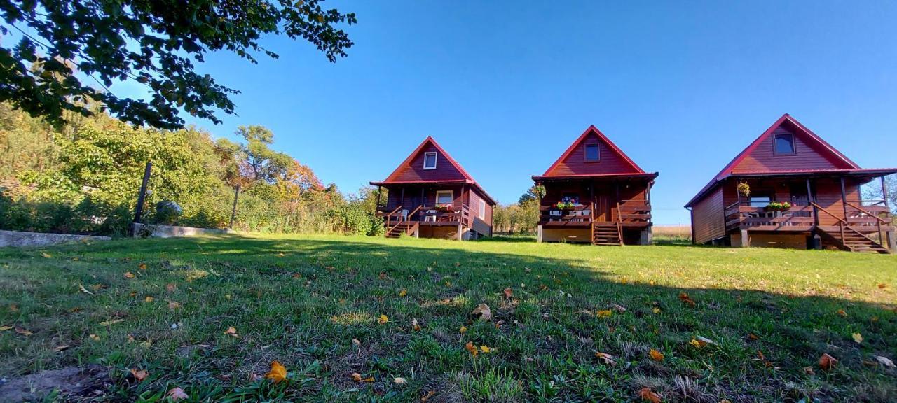 Pod Kasztanem Apartamento Lubin  Exterior foto